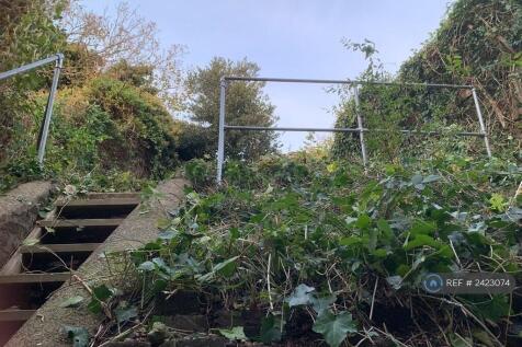 Back Garden