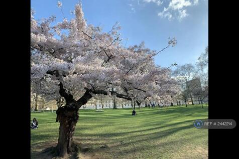 St James&#39;s Park 