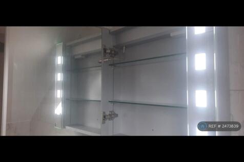 Large Mirrored Mist-Free Cabinet