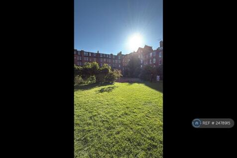 Summer Sun In South Hampstead 