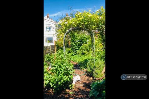 Vegetable Patch At End Of Garden