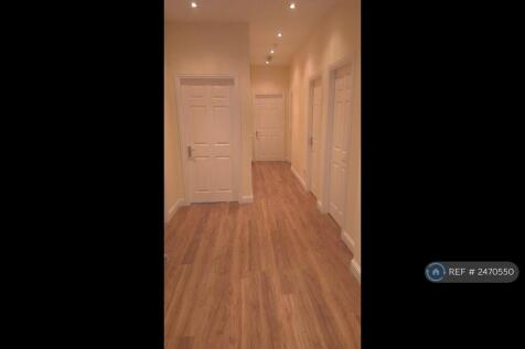 Modern, Bright Hallway