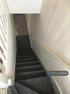 Going Back Downstairs