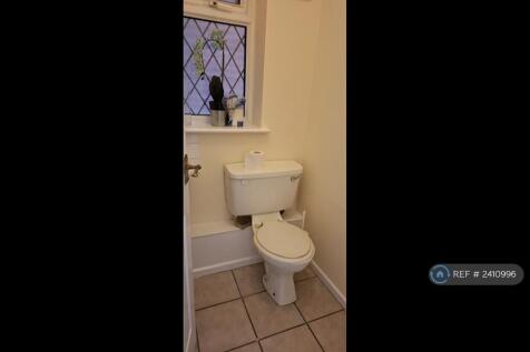 Downstairs Toilet 