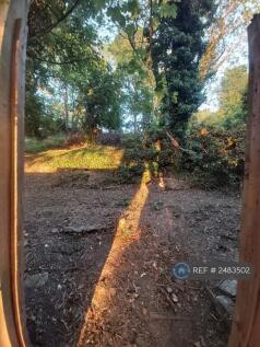Woodland Behind House