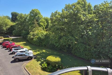 View From Balcony (Left)