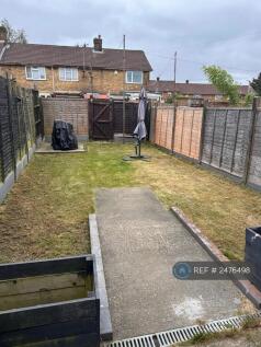 Back Garden