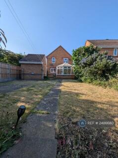 Back Garden