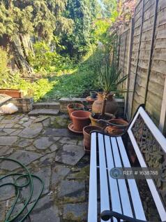 Patio/Garden