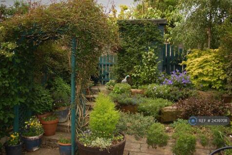 Garden And Patio