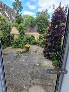 Back Garden