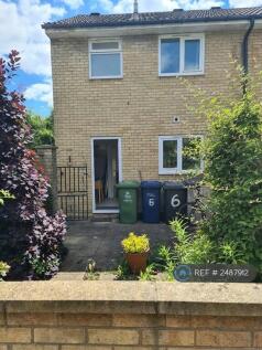 Rear Of The House Plus Back Garden