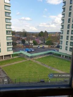 View From Front Window