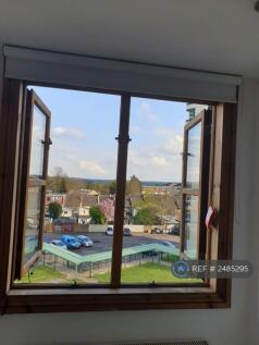 View From Front  Window
