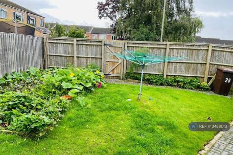 Vegetable Patch 