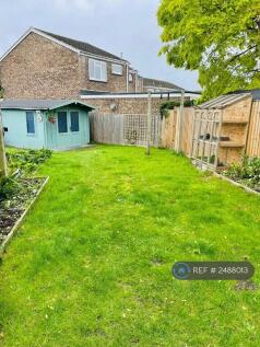 Large Garden / Log Cabin