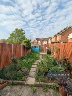 Back Garden