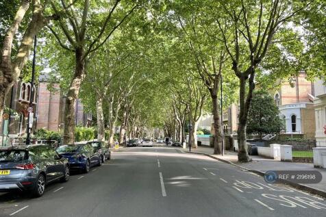 Tree Lined Road
