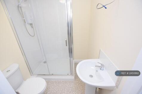Walk In Shower 