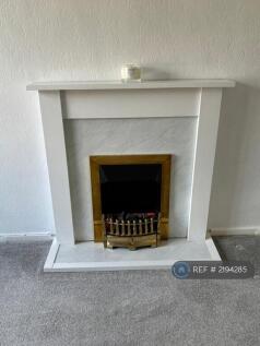 Feature Fireplace