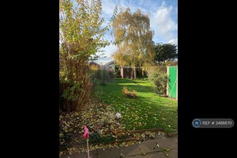 Backgarden