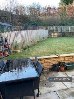 Garden -1