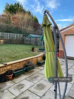Garden -2