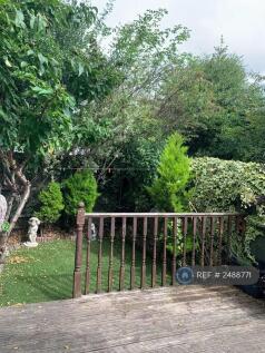 Back Garden
