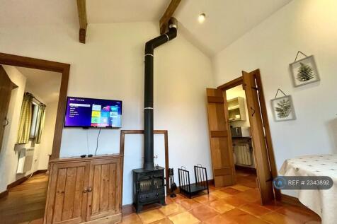 Tv &amp; Fireplace