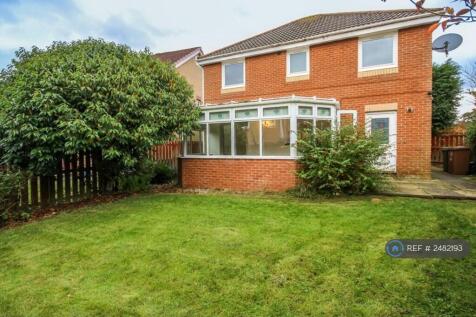 Property Image 33
