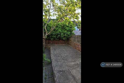 Back Garden