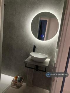 Shower Room, Pebble Sink, Mirror &amp; Light Above..