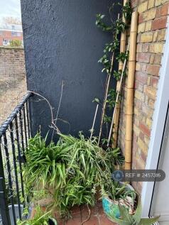 Balcony With Low-Maintenance Plants