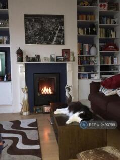 Feature Gas Fire Place
