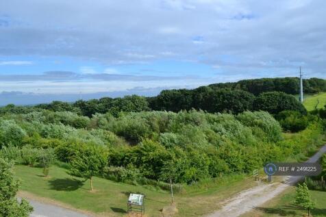 View 1