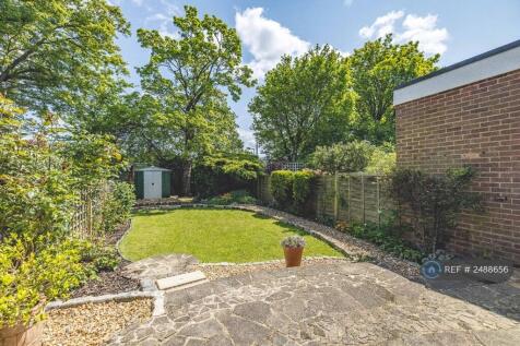 Back Garden1