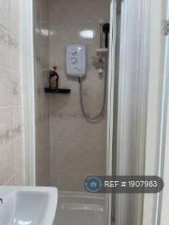Downstairs Shower With Study