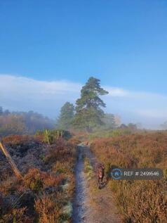 Nearby Forest Walks