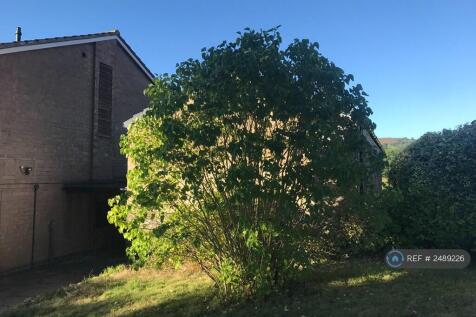 Side Garden