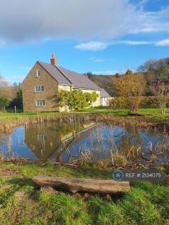 Pond Meadow