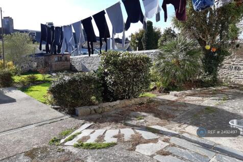 Rear Garden - Washing Line