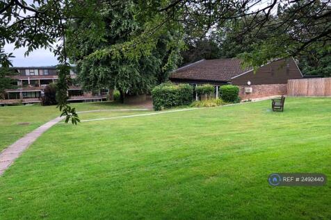 Shared Garden / Pool House