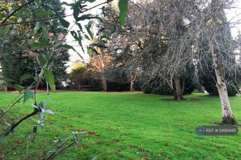 Communal Garden