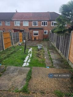 Back Garden 