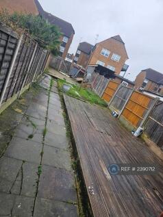 Back Garden 