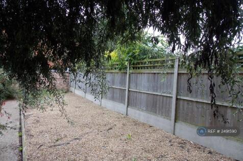 Back Garden 