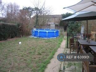 Back Garden