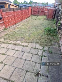 Back Garden