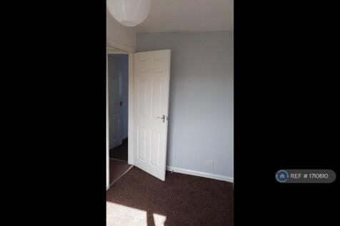 Back Bedroom