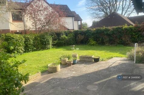 Back Garden